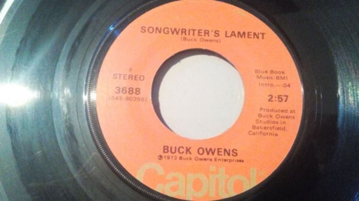 Context: A guard's lament about a past injury that ended their adventuring career.